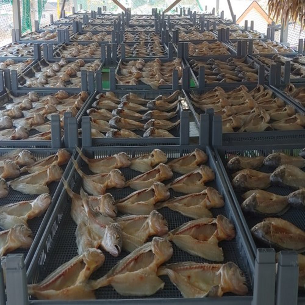 2분 완성, 풍요로운 맛! 영광 법성포 구운 부세 보리굴비로 간편하게 즐기는 행복한 식탁.