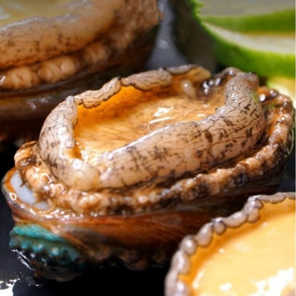 완도 청정 바다의 숨결, 왕특대 전복으로 전하는 특별한 선물