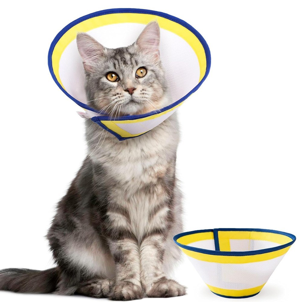 펫트에일 초경량 메쉬 넥카라: 편안한 반려동물 리커버리