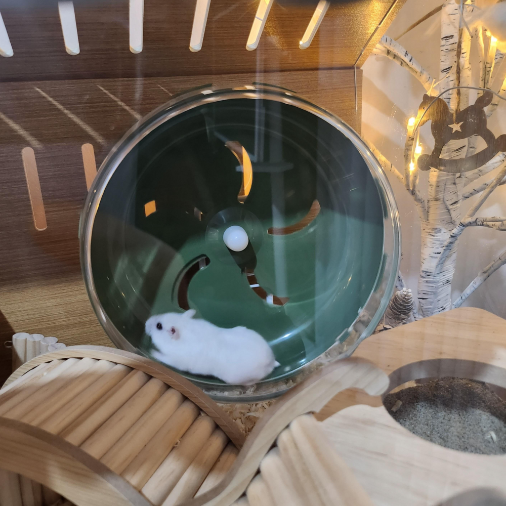 햄스터를 위한 안락하고 실용적인 햄스펫 햄스터 하우스 대저택