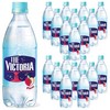 웅진빅토리아 더빅토리아 자두 탄산음료, 500ml, 20개