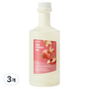 네이쳐티 스페인납작복숭아 베이스, 1.2kg, 3개