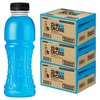 파워에이드 마운틴블라스트 무라벨, 355ml, 60개
