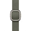 Apple 정품 2025 애플워치 모던 버클, 세이지 그레이, 1개, 42mm, Small