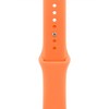 Apple 정품 애플워치 스포츠 밴드, 클레멘타인, 46mm, S/M, 1개