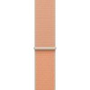 Apple 정품 애플워치 스포츠 루프, 캔털 루프, 46mm, Regular, 1개