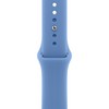 Apple 정품 애플워치 스포츠 밴드, 와일드플라워 블루, 42mm, M/L, 1개