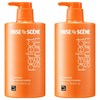 미쟝센 퍼펙트 세럼 홈 케어 트리트먼트, 900ml, 2개