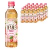 티즐 제로 딸기루이보스, 500ml, 20개