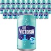 웅진빅토리아 탄산수 캔 플레인, 350ml, 48개