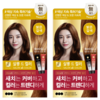 엘라스틴 살롱 드 컬러 앤 새치 염색제, 밝은갈색, 2개