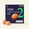 CJ프레시웨이 더건강한 동물복지 무항생제 유정란 1300g, 1개, 25구