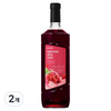 네이쳐티 문경오미자시럽, 2개, 1L