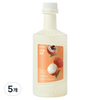 네이쳐티 리치베이스, 1.2kg, 5개