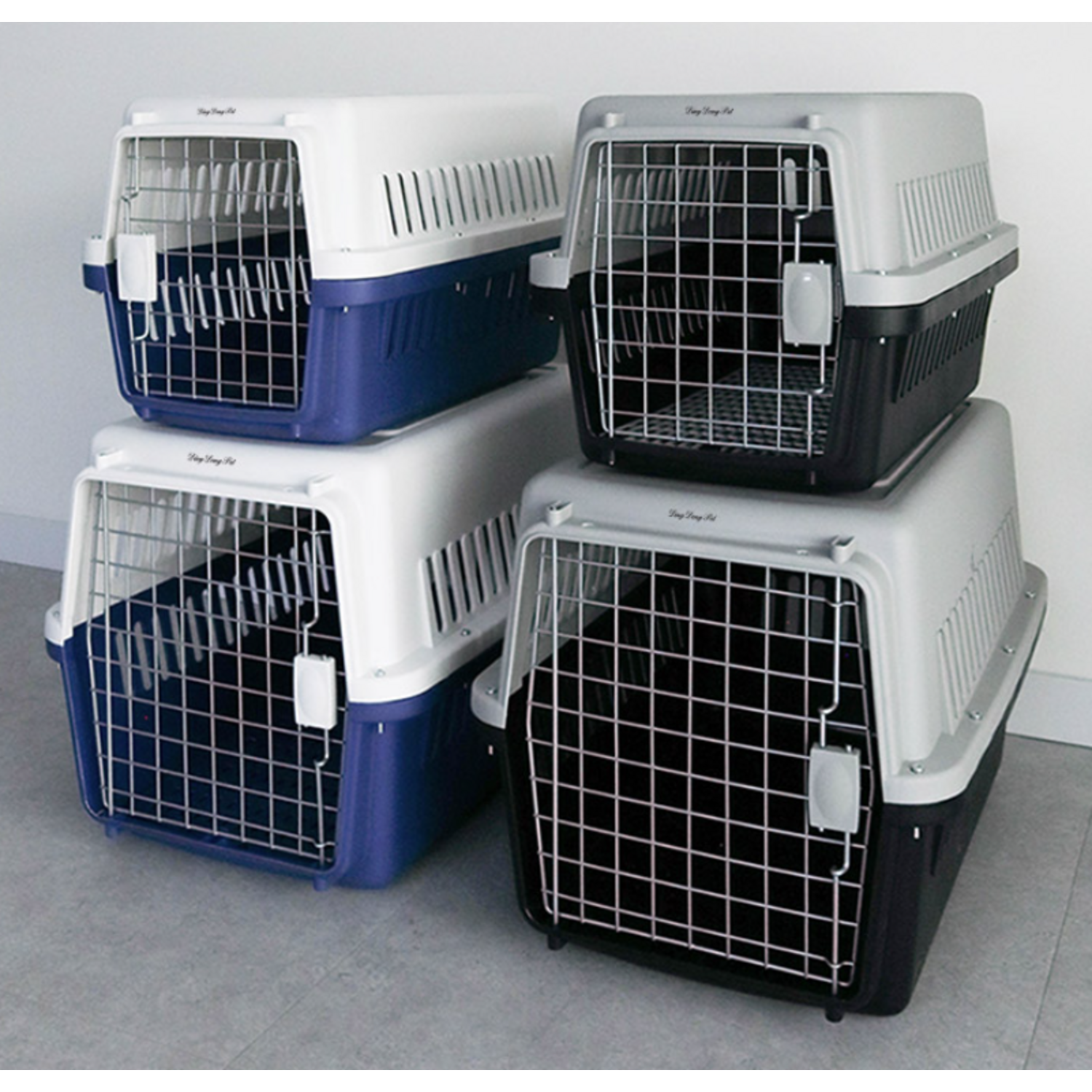 사랑하는 반려동물을 위한 이상적인 선택