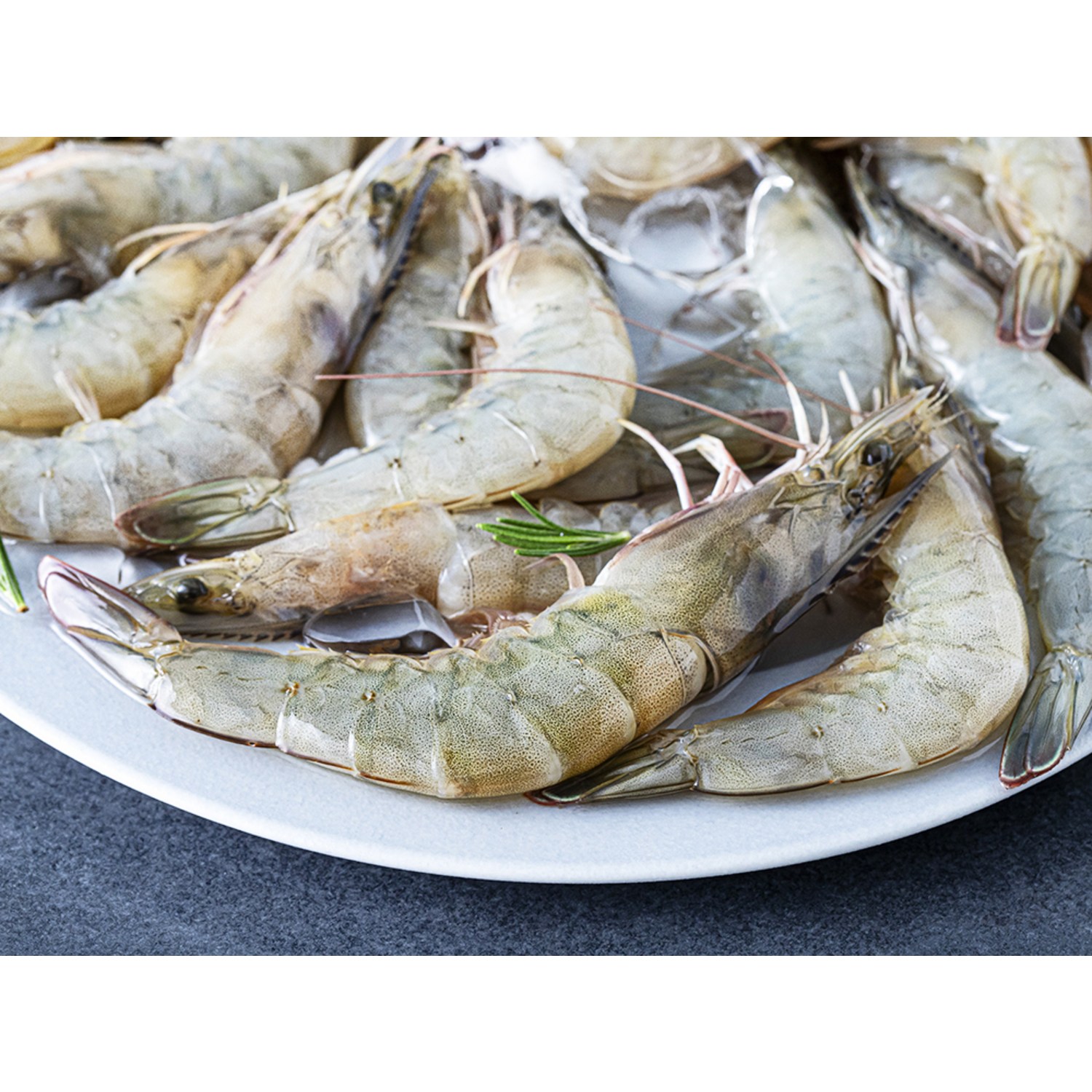 어부심 생물 새우, 신선함이 가득한 바다의 선물!