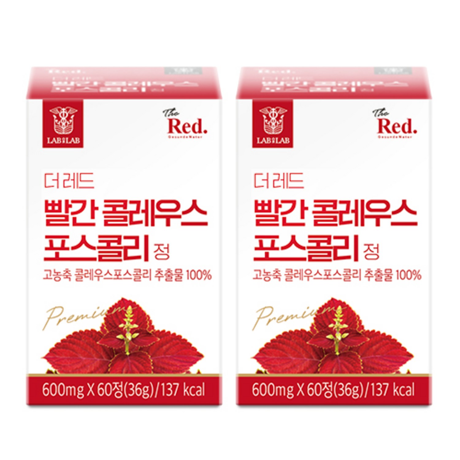 더레드 빨간 콜레우스 포스콜리: 놀라운 건강 효과를 위한 자연의 기적