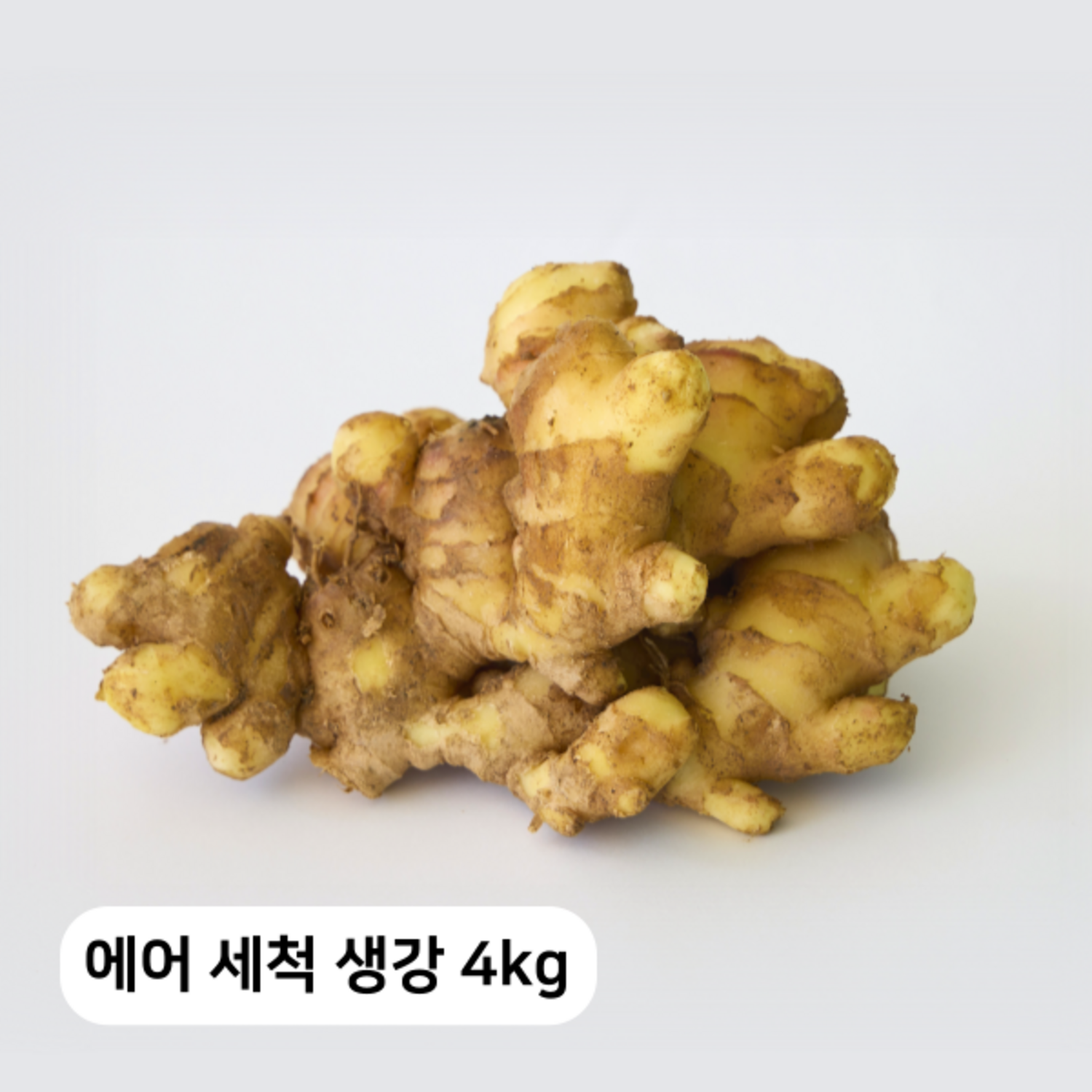 [안동농협] 24년 국내산 에어 세척 흙생강 (사은품 증정), 4kg, 1개