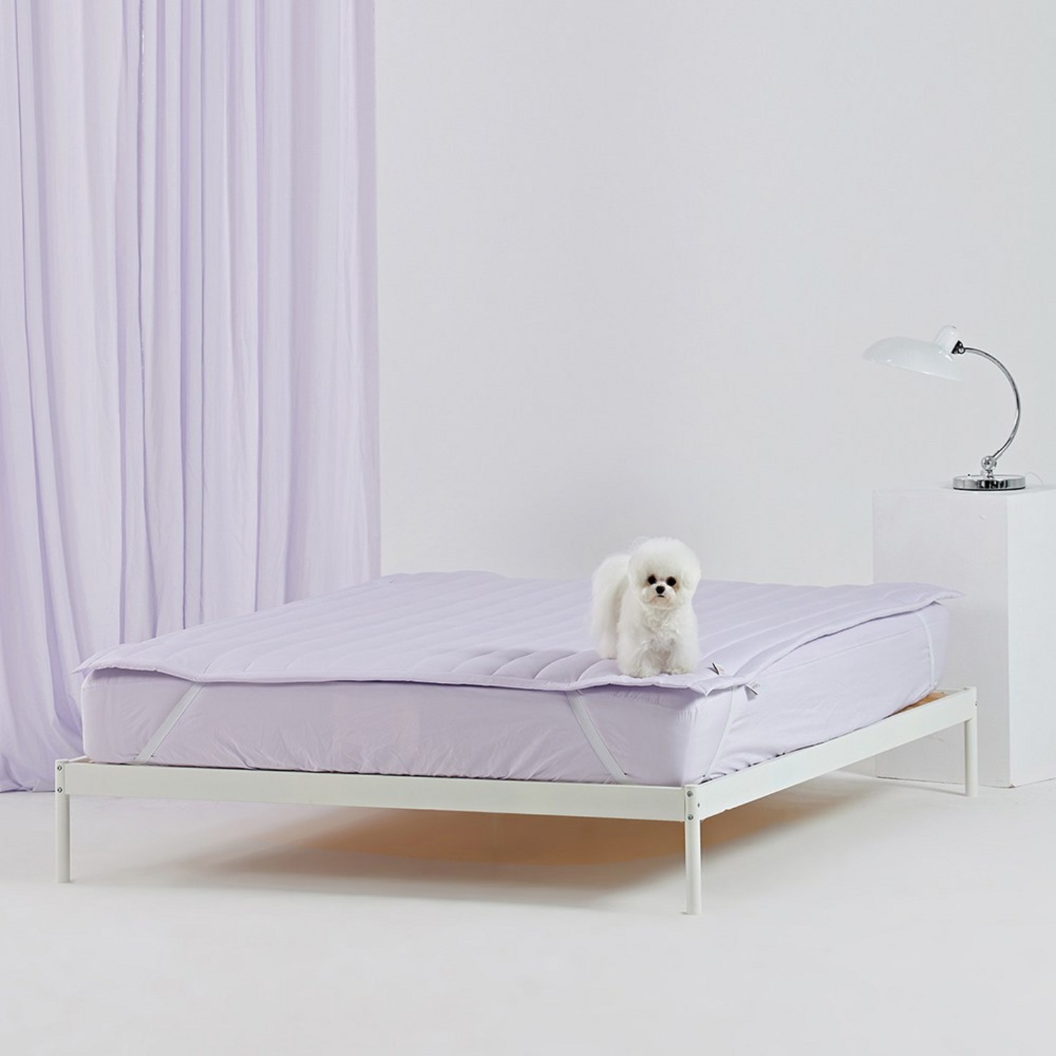 반려동물 알러지케어 나란히 침대 패드 SS, 라벤더