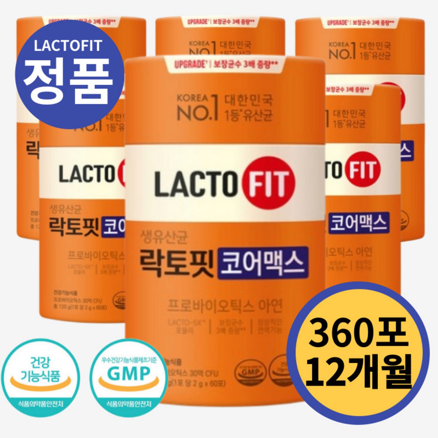 락토핏 종근당건강 생유산균 코어맥스, 50g, 6개