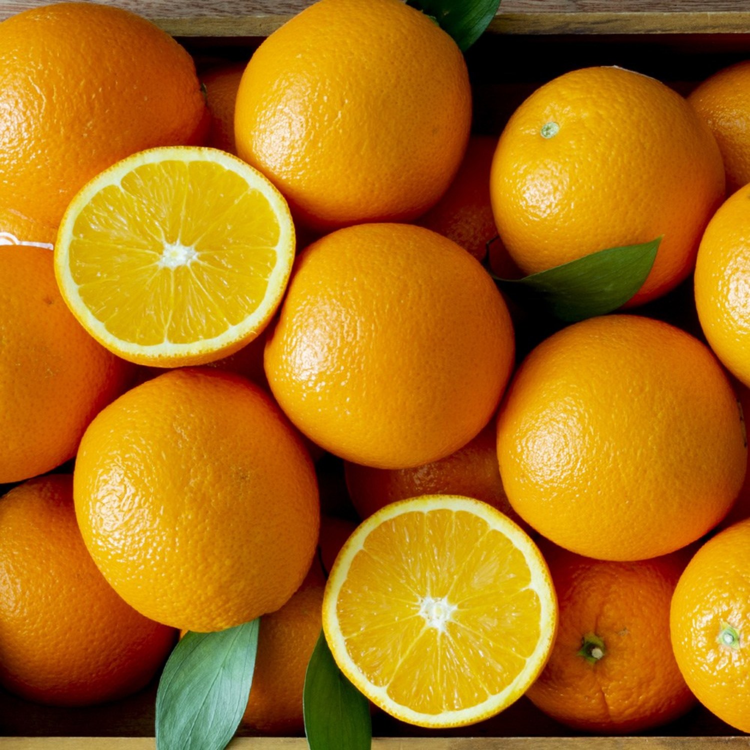 네이블 오렌지, 10개, 150g 내외(중소과)