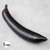1개입