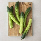 6개입