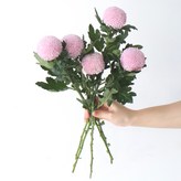 라벤다 × 5개
