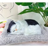밀크 고양이 × 1개