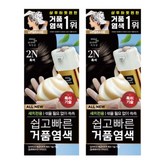 2N 흑색