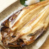 2kg(10~14미)