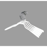 WHITE (화이트)