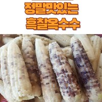 정자농원 농부직송 흑찰옥수수 선별 괴산햇찰옥수수 생물옥수수 맛있는 옥수수, 30개