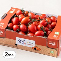 충남세도 GAP 인증 대추방울토마토, 2kg, 2박스