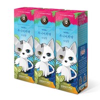 제니튼 주니어 치약 라임향, 60g, 3개