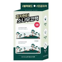 라운드랩 소나무 진정 시카 코팩, 5개입, 1개