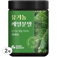 푸드버킷 유기농 케일파우더, 100g, 2개