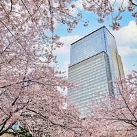 [Tokyo] 만다린 오리엔탈, 도쿄