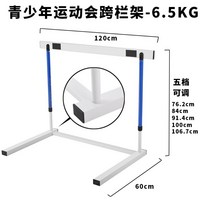 허들 체대 뛰기 계주 육상 장비 소프트 프레임 경주, 청소년게임장애물[6.5KG]