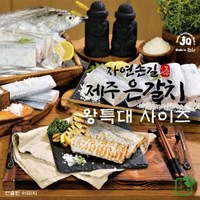 기타 [대박특가찬스][자연손길] 제주은갈치 왕특대 420g4마리 분량(총 16토막), 4개