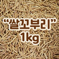 쌀꼬부리 1kg 까불이오란다 오란다만들기 오란다, 1개