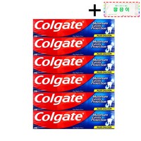 [코스트코 무료배송] COLGATE 콜게이트 그레이트 레귤러 치약 + 깔끔이 증정, 6개, 250g