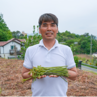 국산 고사리 장아찌 남해 청정 저염 반찬 600g, 1개