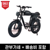 자토바이 전기자전거 레트로 팻바이크 MTB 복고 PHOENIX 출퇴근 자전거, S1*, 13ah x 48v