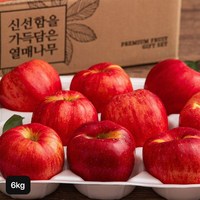 열매나무 못난이 햇 홍로사과 3kg+3kg (총 6kg), 단일옵션