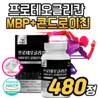 식약처 해썹 인증 프로테오글리칸 MBP 콘드로이친1200 식약청인정 연어코연골 프로데오글리칸 상어연골 콘드로친 관절엔 뼈엔 무릎 허리 손가락 어깨 50대 60대 약1개월분+약케이스, 8개, 60정