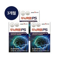 상아제약 두뇌혁명PS 3박스/3개월분, 3개, 단일옵션, 60캡슐