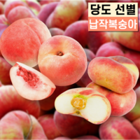 [당도선별] 납작복숭아 백도복숭아 대극천 거반도 달콤쫀득, 1개, 1kg