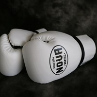 NOVABOXING 노바복싱 466 백글러브 (글러브형), 하양