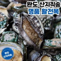 완도 당일채취 산지직송 산소포장 활전복 특대 대, 1개, 대 1kg(13~15미)